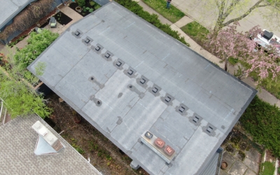 Flat Roof Project 4