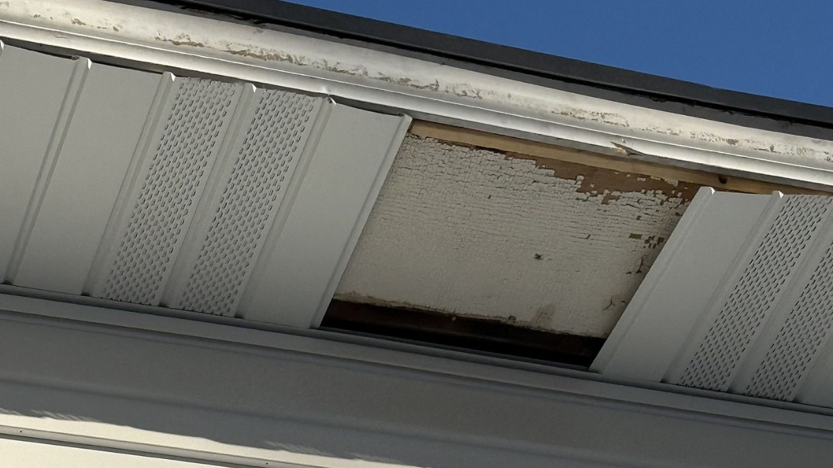 Soffit and fascia repair: replace rotted boards and re-secure panels